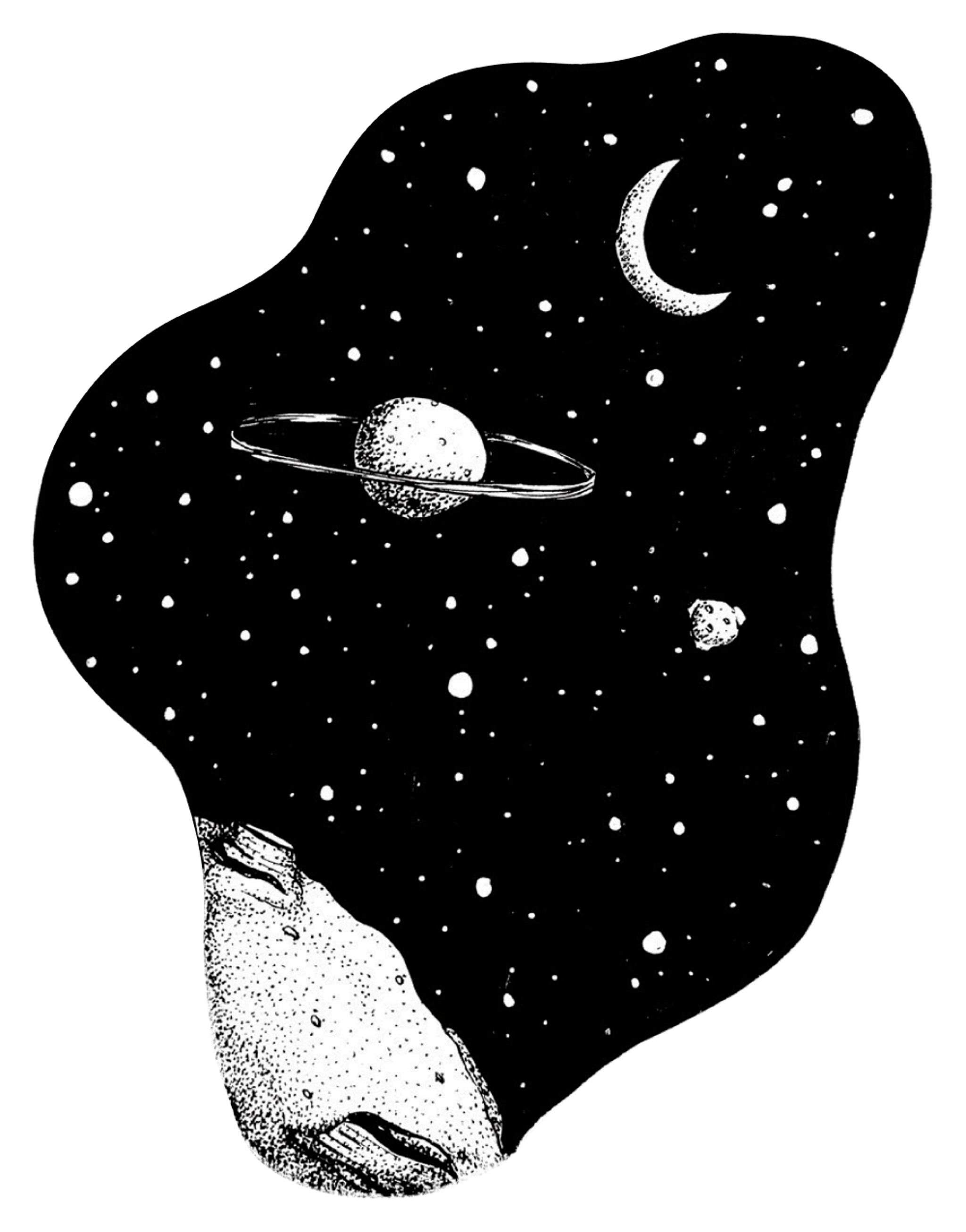Camryn Richards Space