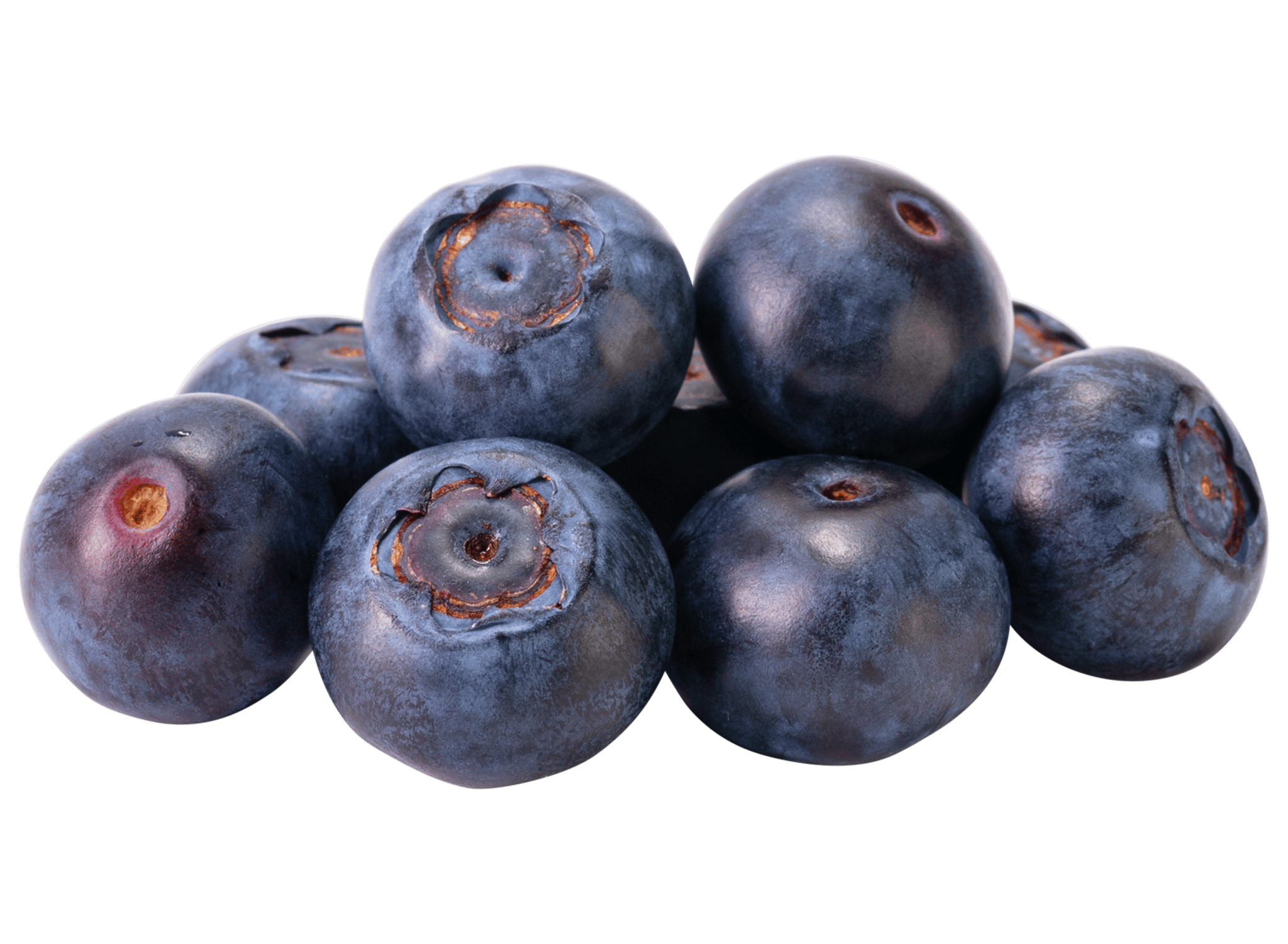 Blueberry bunch