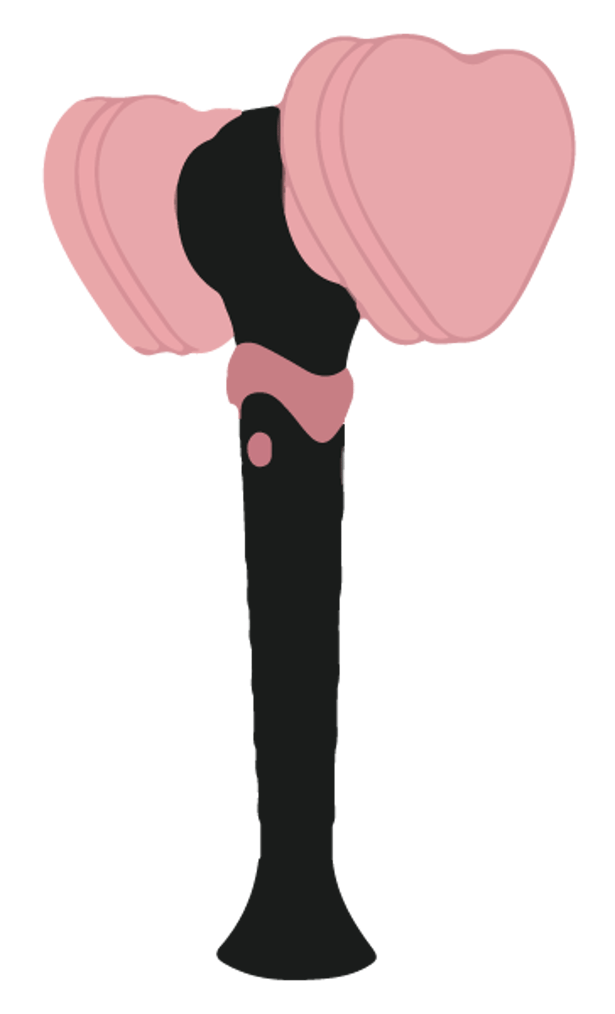 Light Stick Blackpink