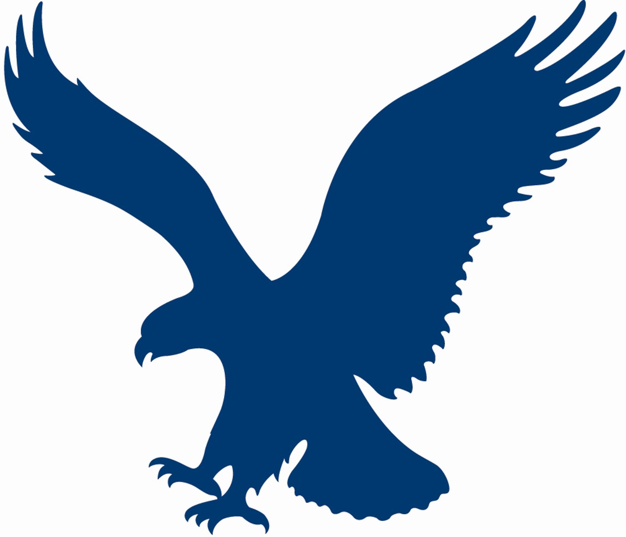 Blue Eagle Silhouette 
