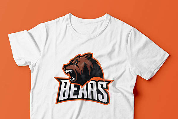 Sports team logo iron-on applied to a t-shirt