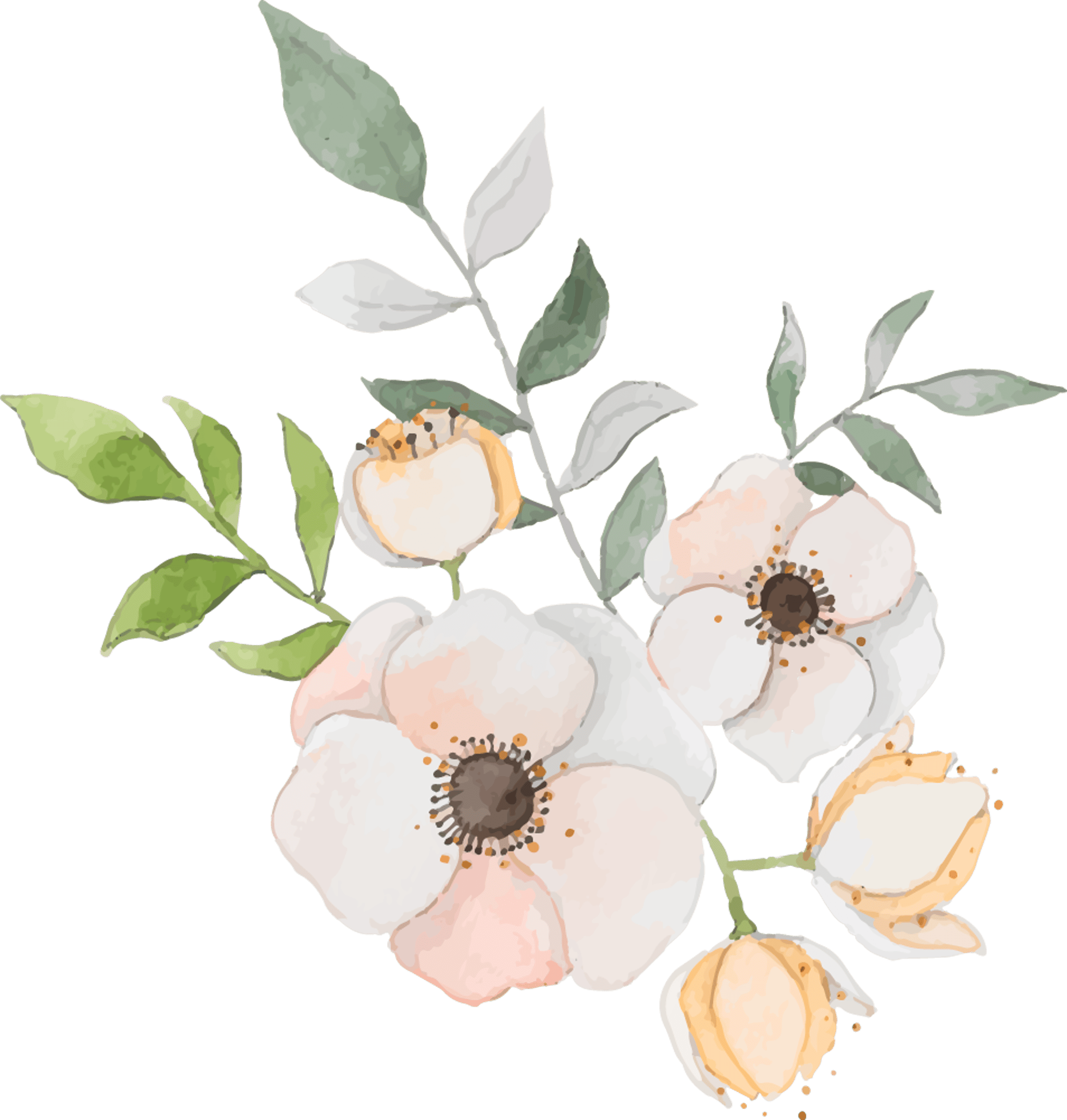 White Watercolor Flower Icon