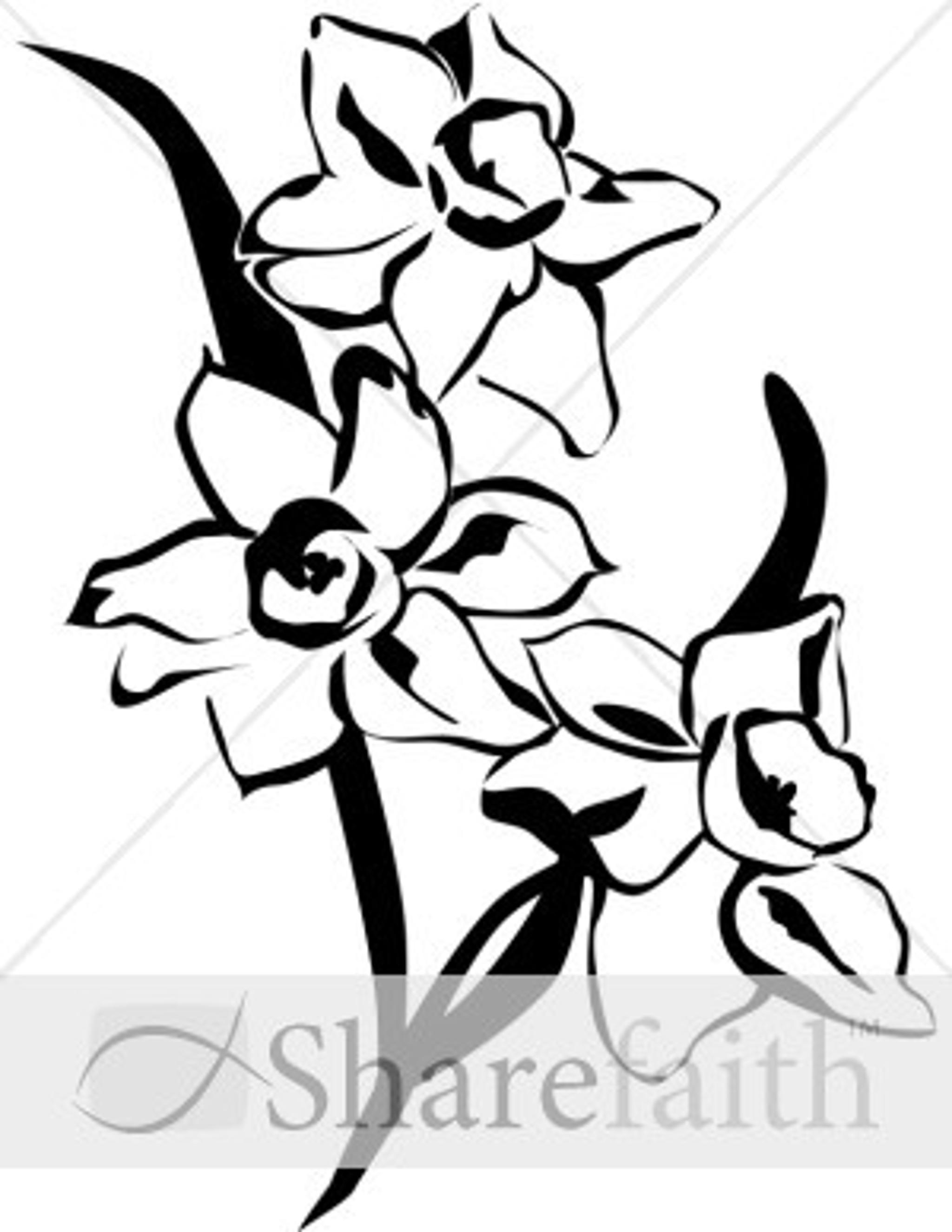 img_large_watermarked2.jpg