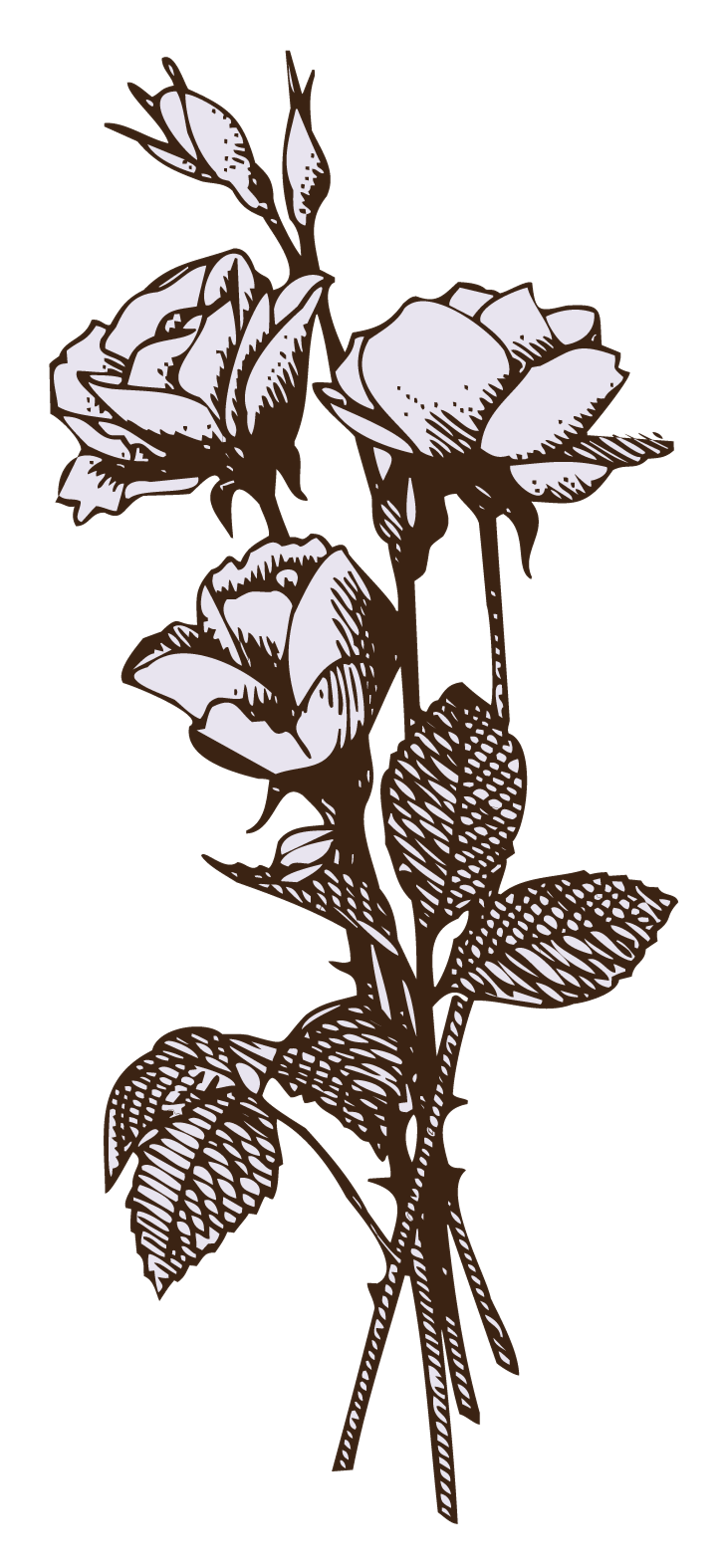 Triple Flower Sketch