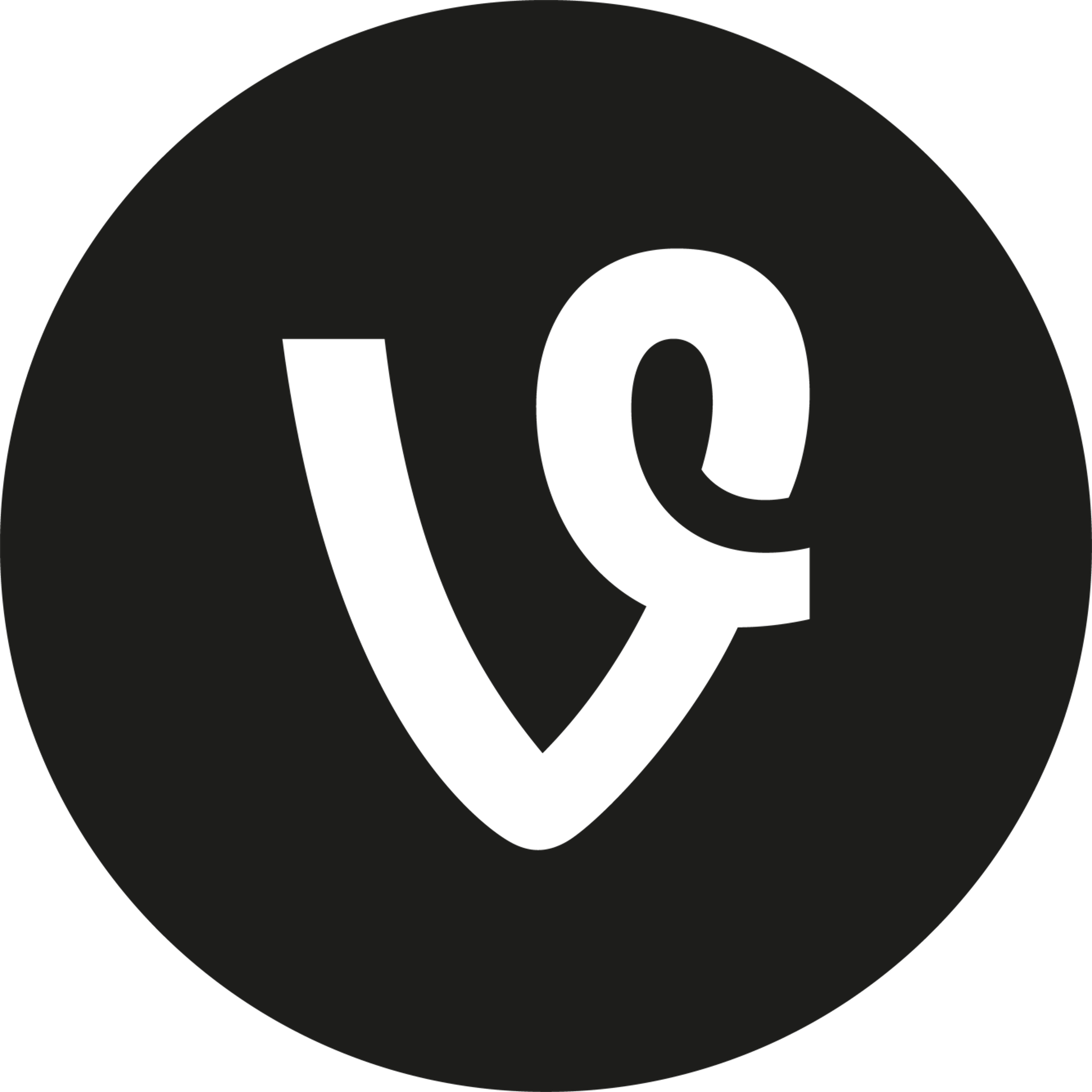 Vine Solid