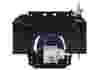ELIM 500 Series- Back View - Product Image
