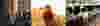 Untitled design (33).png