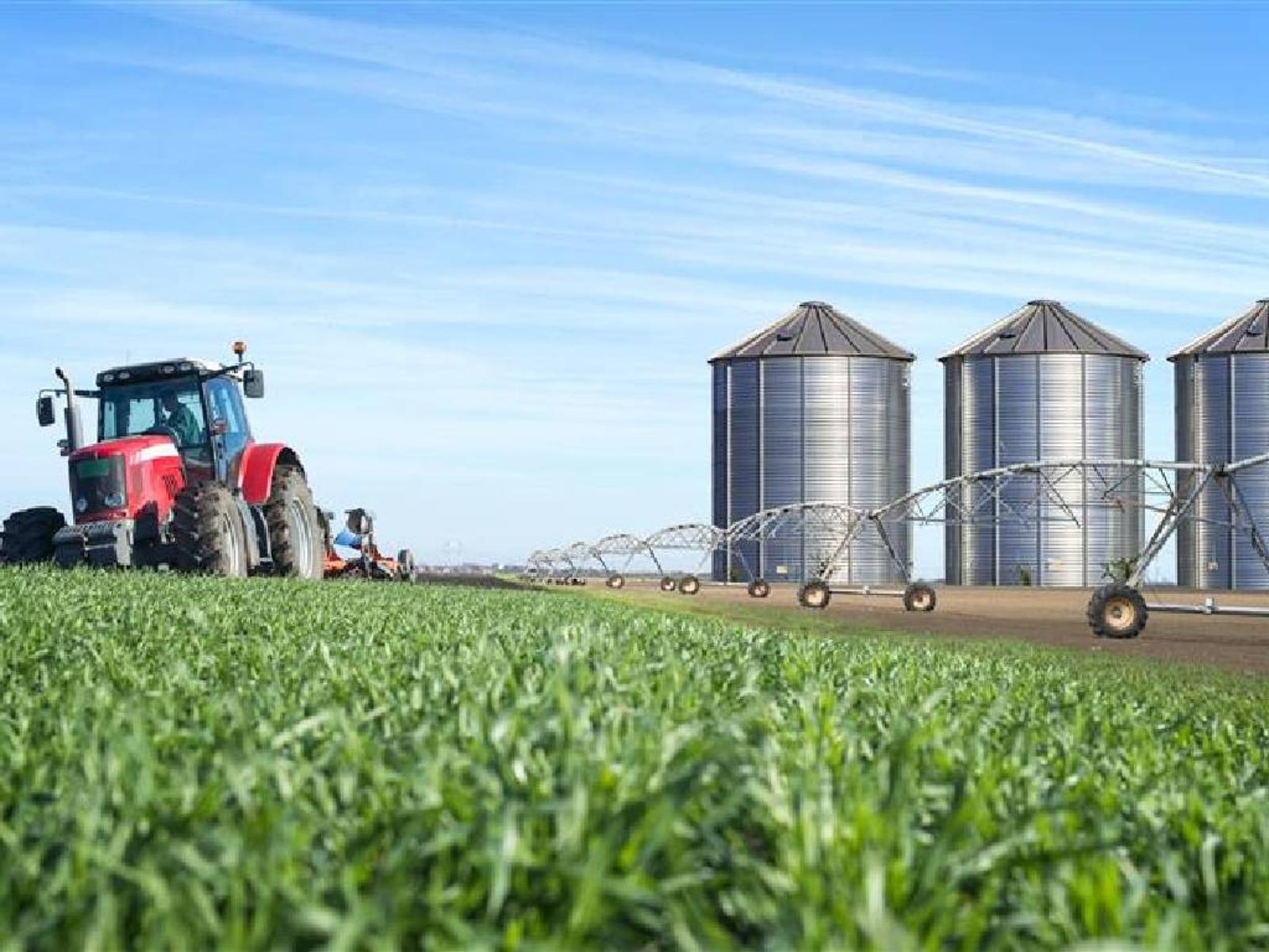 agriculture-food-production.jpg