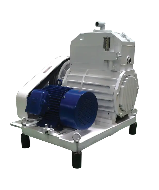 duo-rotary-vane-vacuum-pump.webp