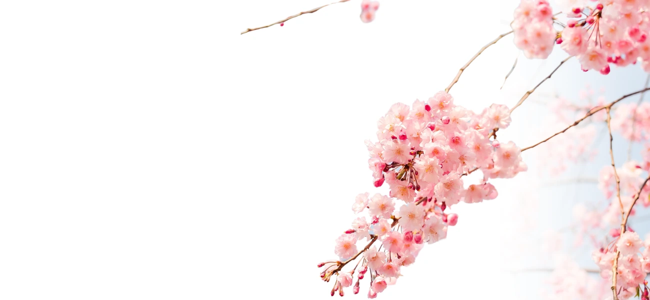 seasonal-image1.png