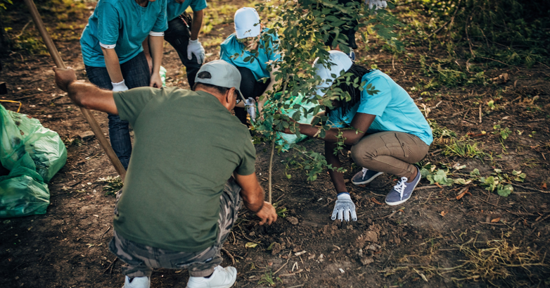 team planting trees