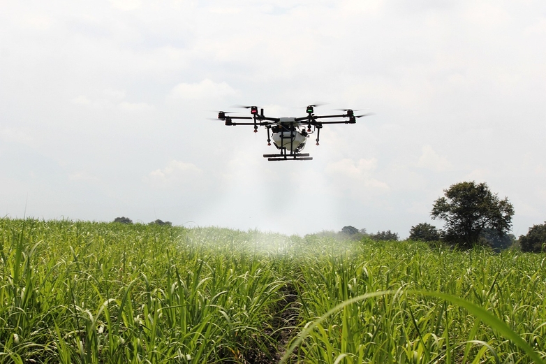 Agricultural drone spraying field with pesticides. 