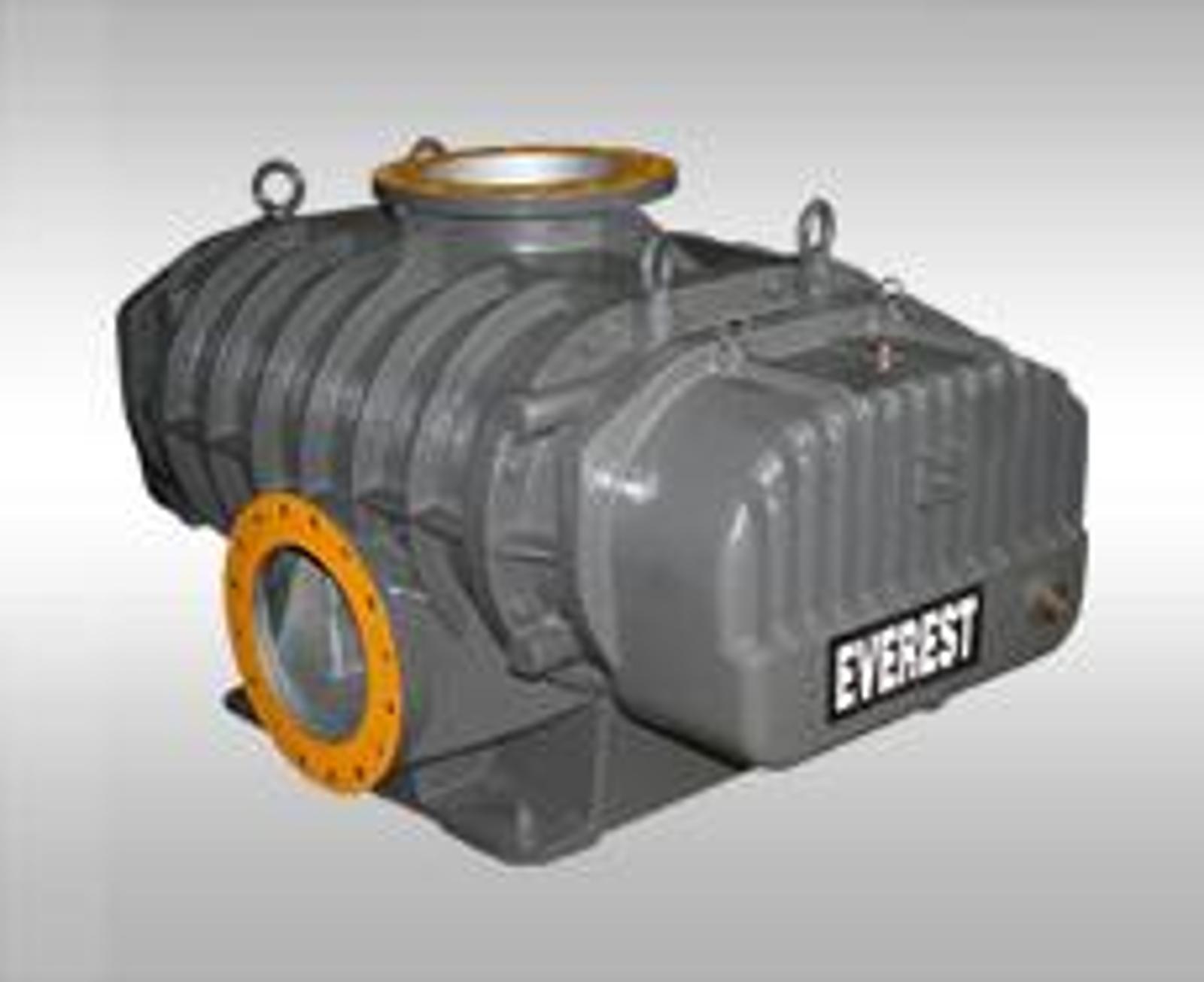 Everest's achievement in innovations