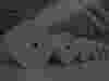 Paper-CTA-Banner.png