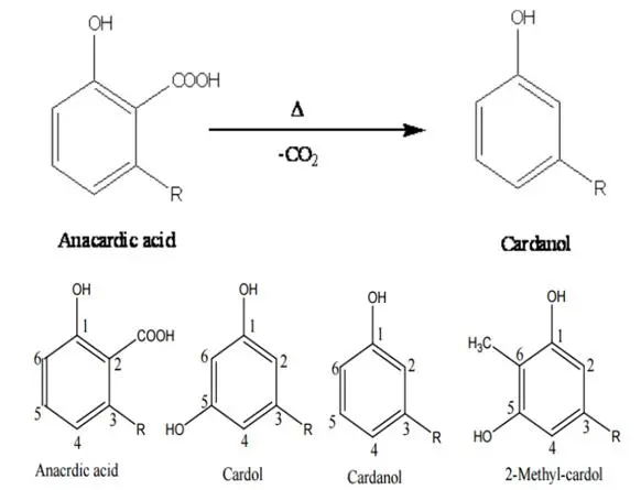Everest-CNSL distillation