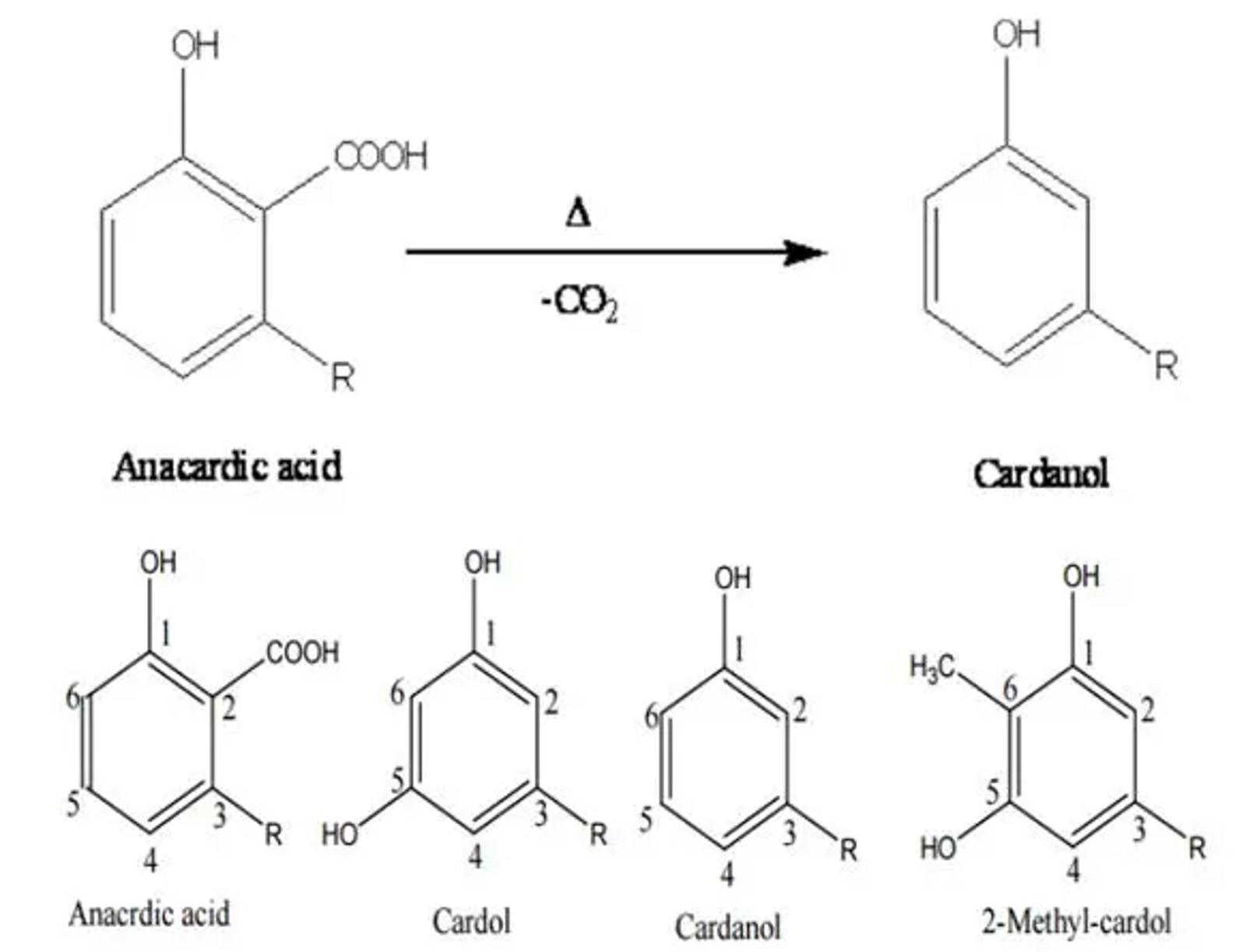 Everest-CNSL distillation