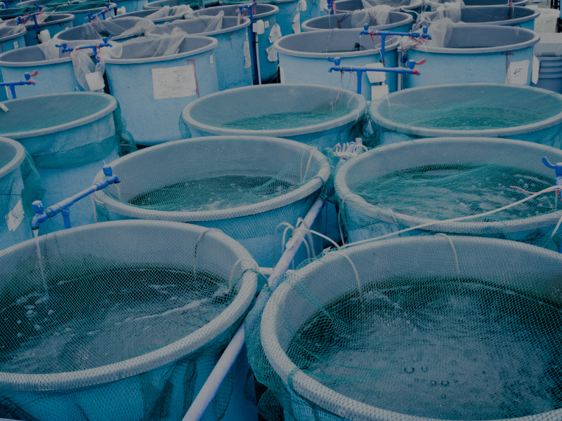Aquaculture_CTA_Banner.png