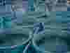 Aquaculture_CTA_Banner.png