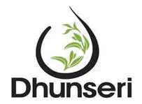 IVL Dhunseri (Egypt)
