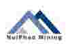 Nui Phao Mining Co. Ltd. (Vietnam)