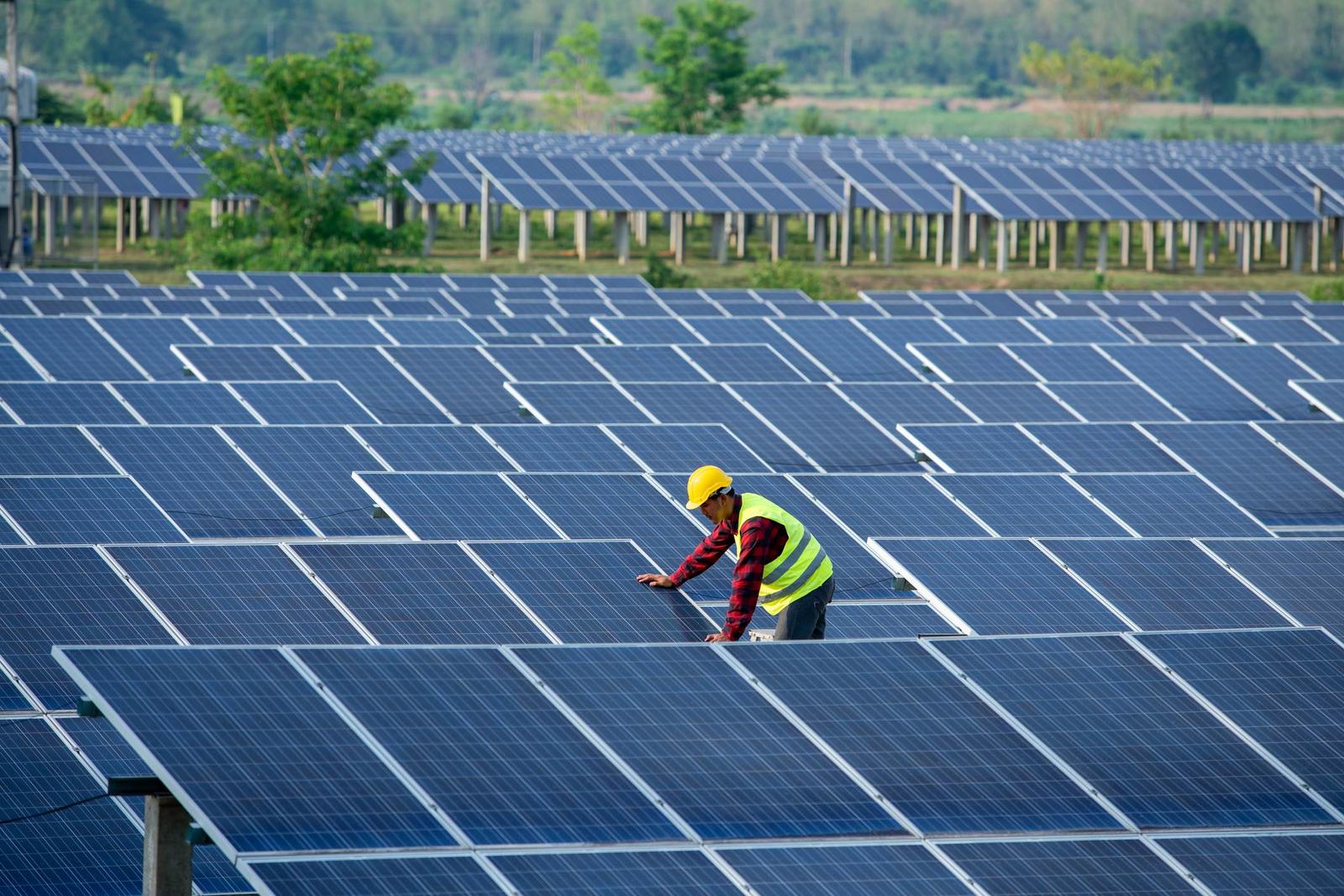 Solar Industry - Panel Inspection