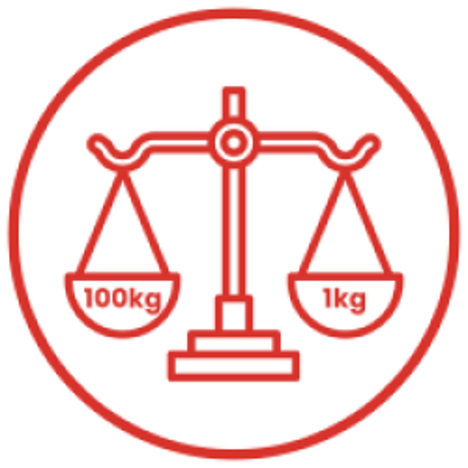 red icon for horizontal movements 100kg 1kg