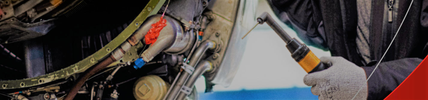 banner-pic.png