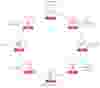 icons in circle steps to do