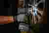 W7153_Impact Wrench_a22.jpg