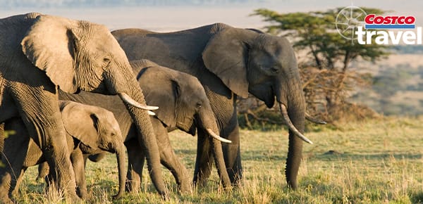 Exclusive Guided Holiday Savings