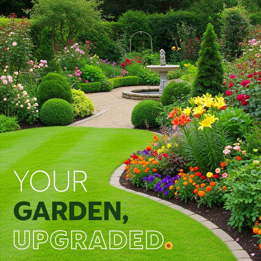 Your garden, upgraded