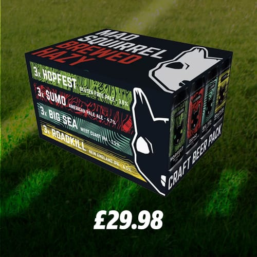 Mad Squirrel Craft Beer Pack, 12 x 440ml