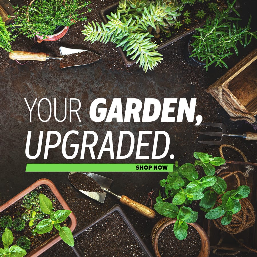 Your garden, upgraded.