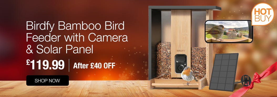 Birdfy Bamboo Bird Feeder with Camera & Solar Panel