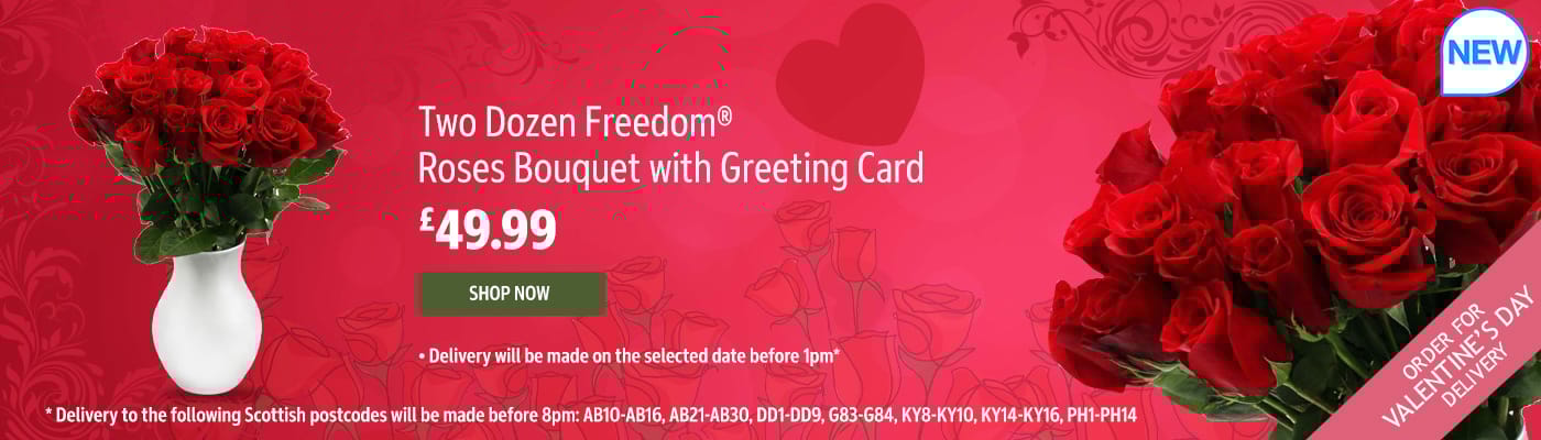 Two Dozen Freedom® Roses Bouquet with Greeting Card
