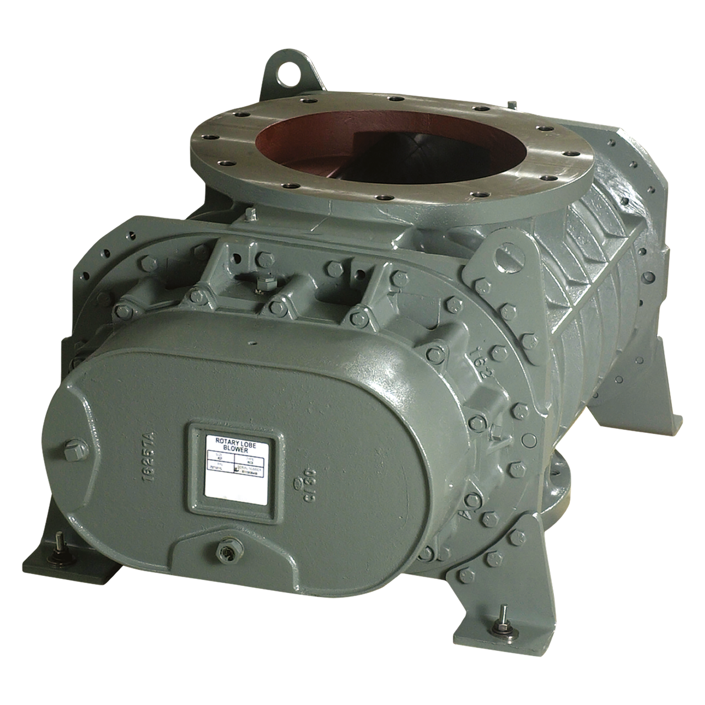 RCS-300dpi.png