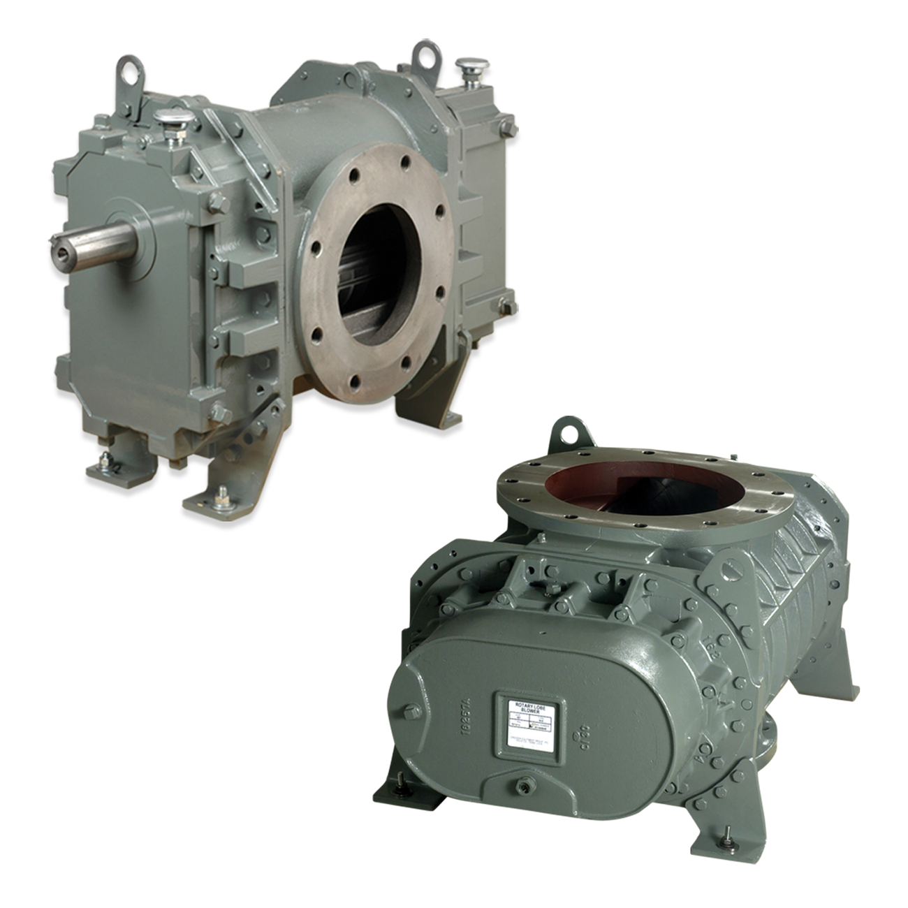 Positive Displacement Blowers