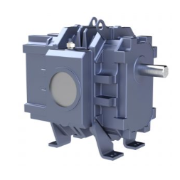 RAM VJ (1).png
