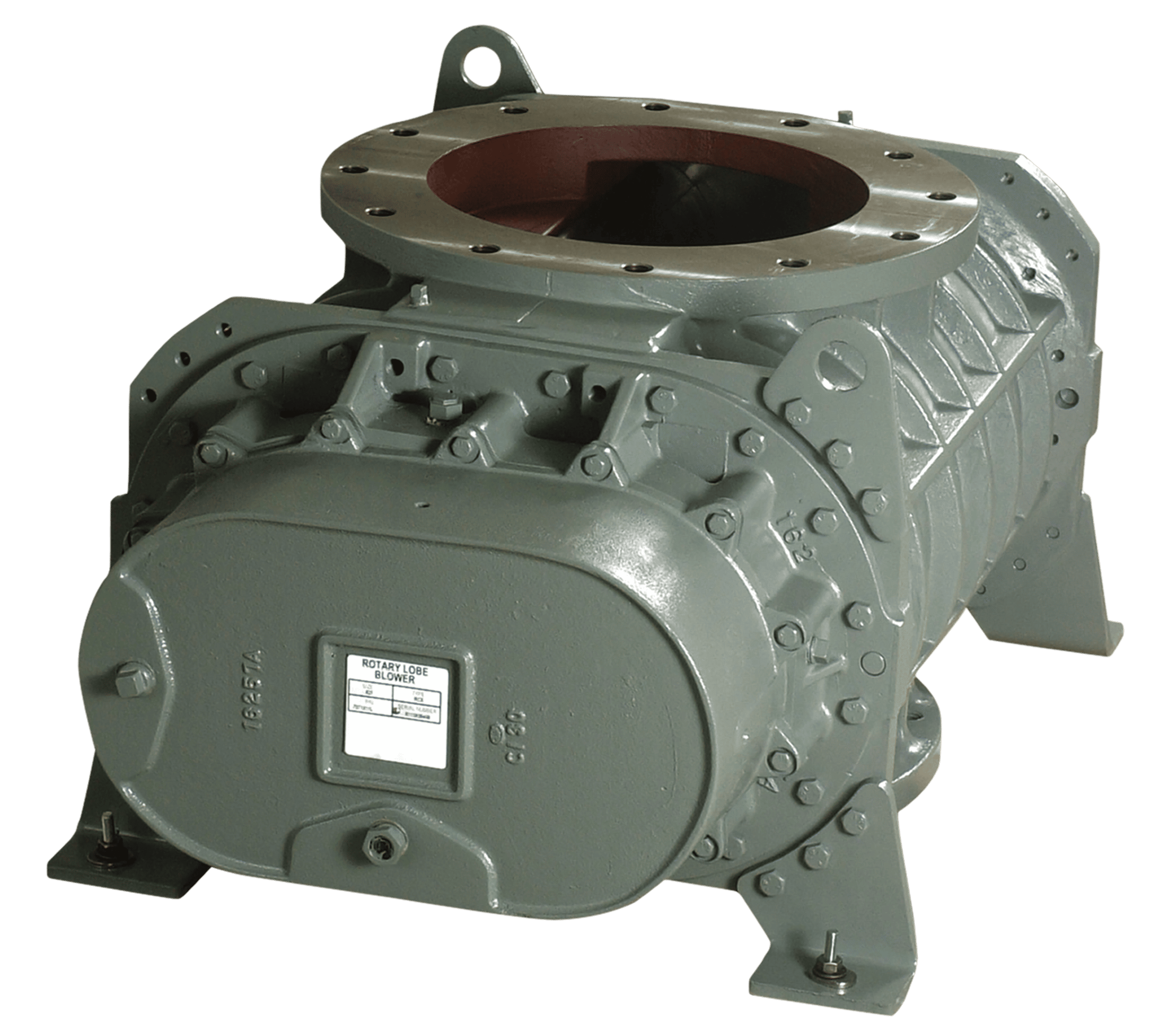 RCS Rotary Positive Blower Product Photo