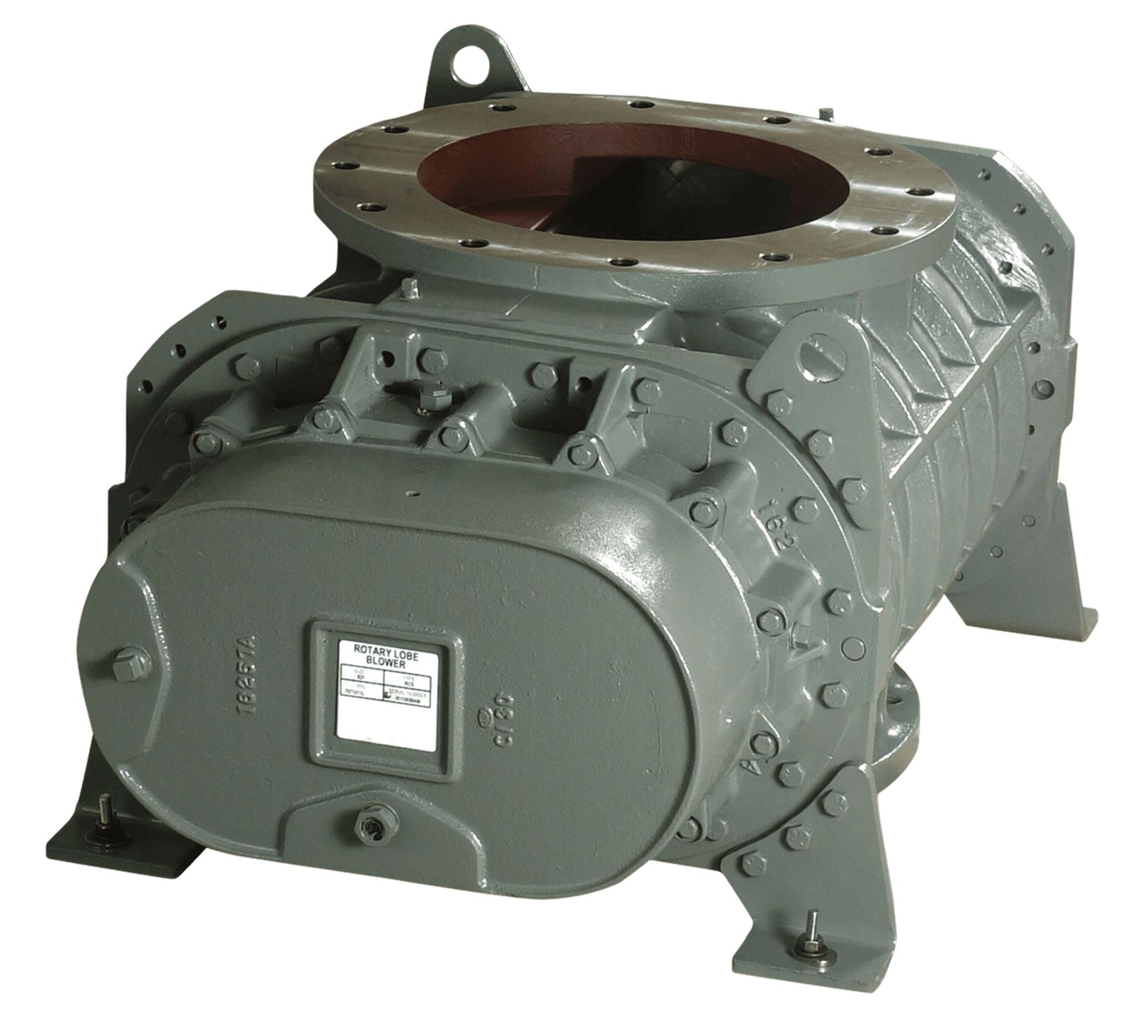 RCS Rotary Positive Blower Product Photo