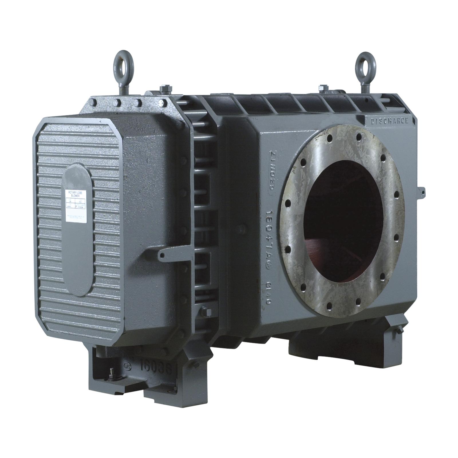 RCS J-300dpi.png