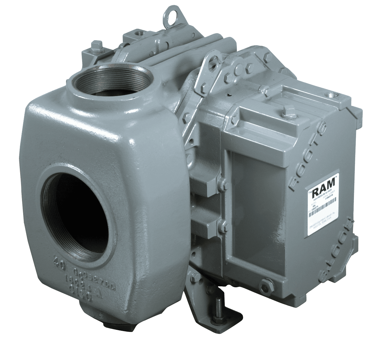 RAM-DPJ (Whispair) Rotary Positive Blower Product Photo