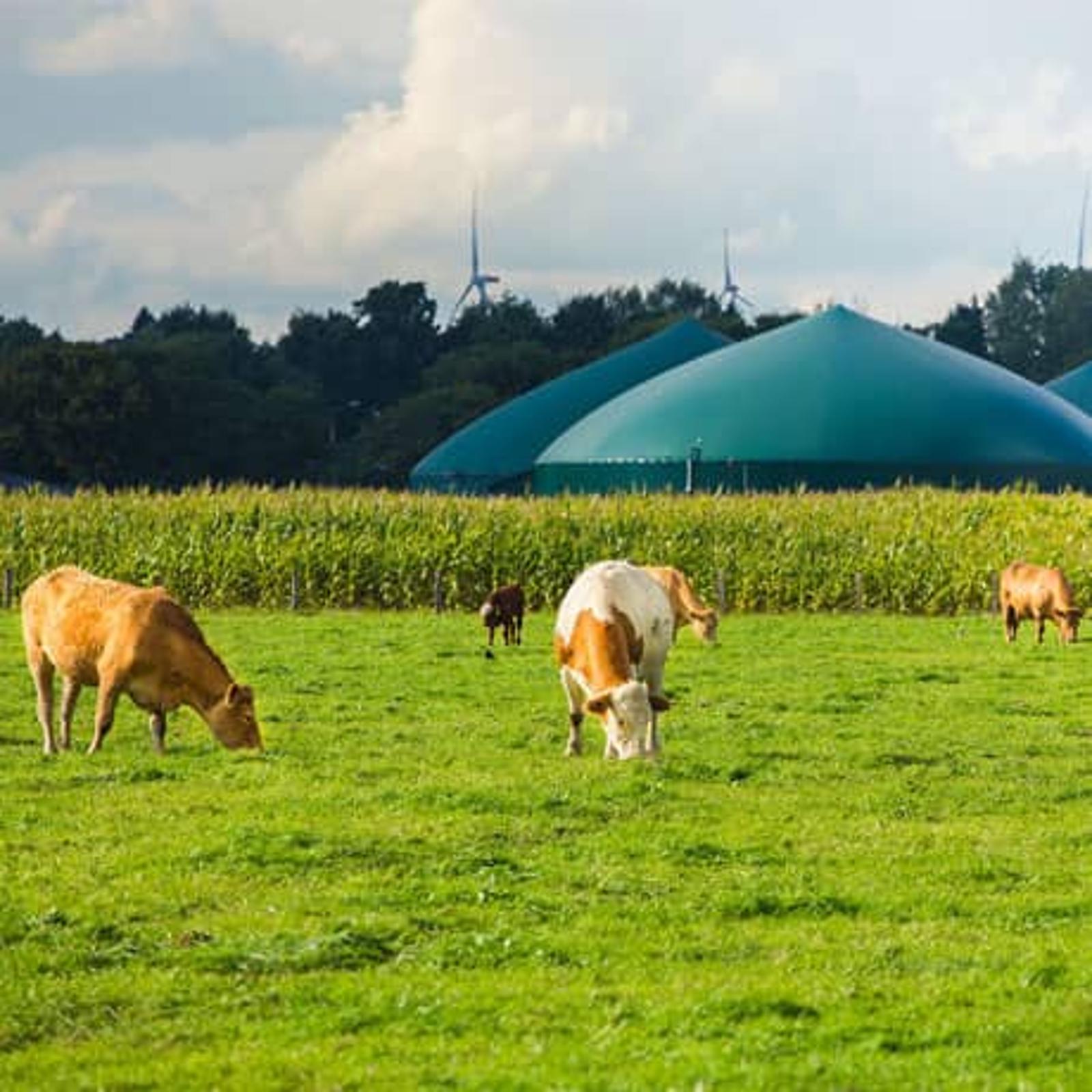 biogas-recovery-farm.jpg