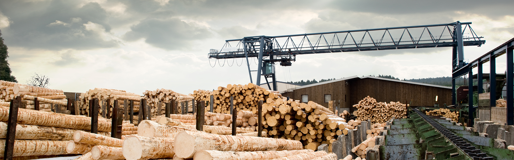 wood-processing.png