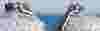 csm-csm-seepex-casestudy-header-erneuerbare-energien-2560x800-06-a021ac51c1-50ae2a6a26.jpg