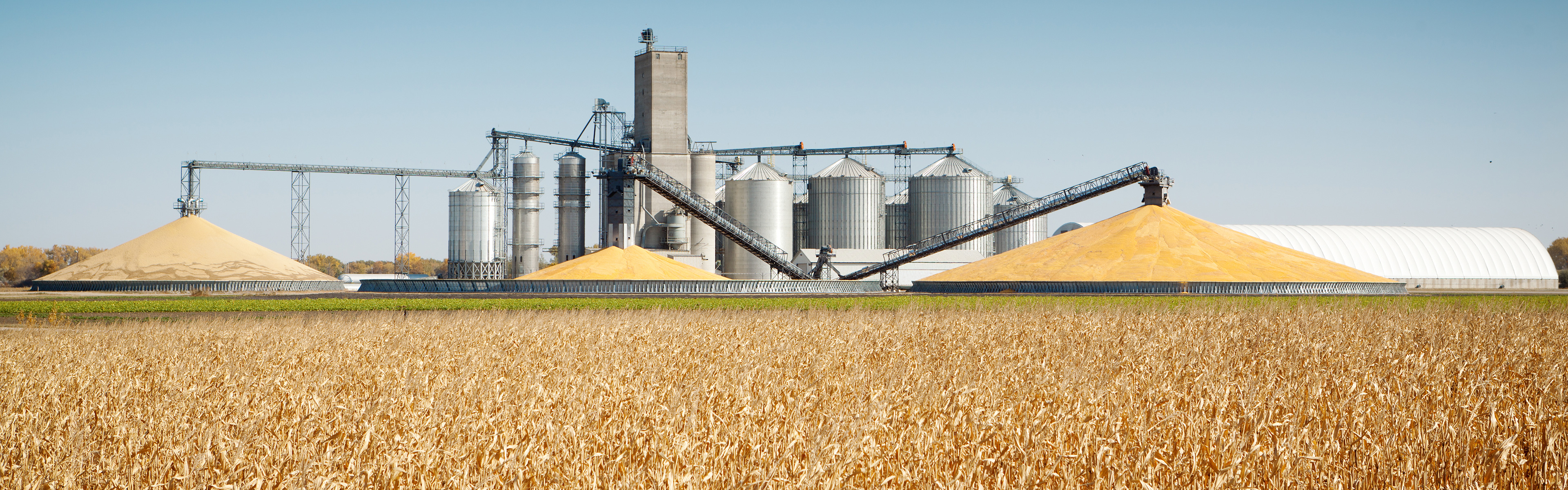 spx_application_agriculture_d.jpg