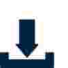 Icon-Downloads-600x600.jpg
