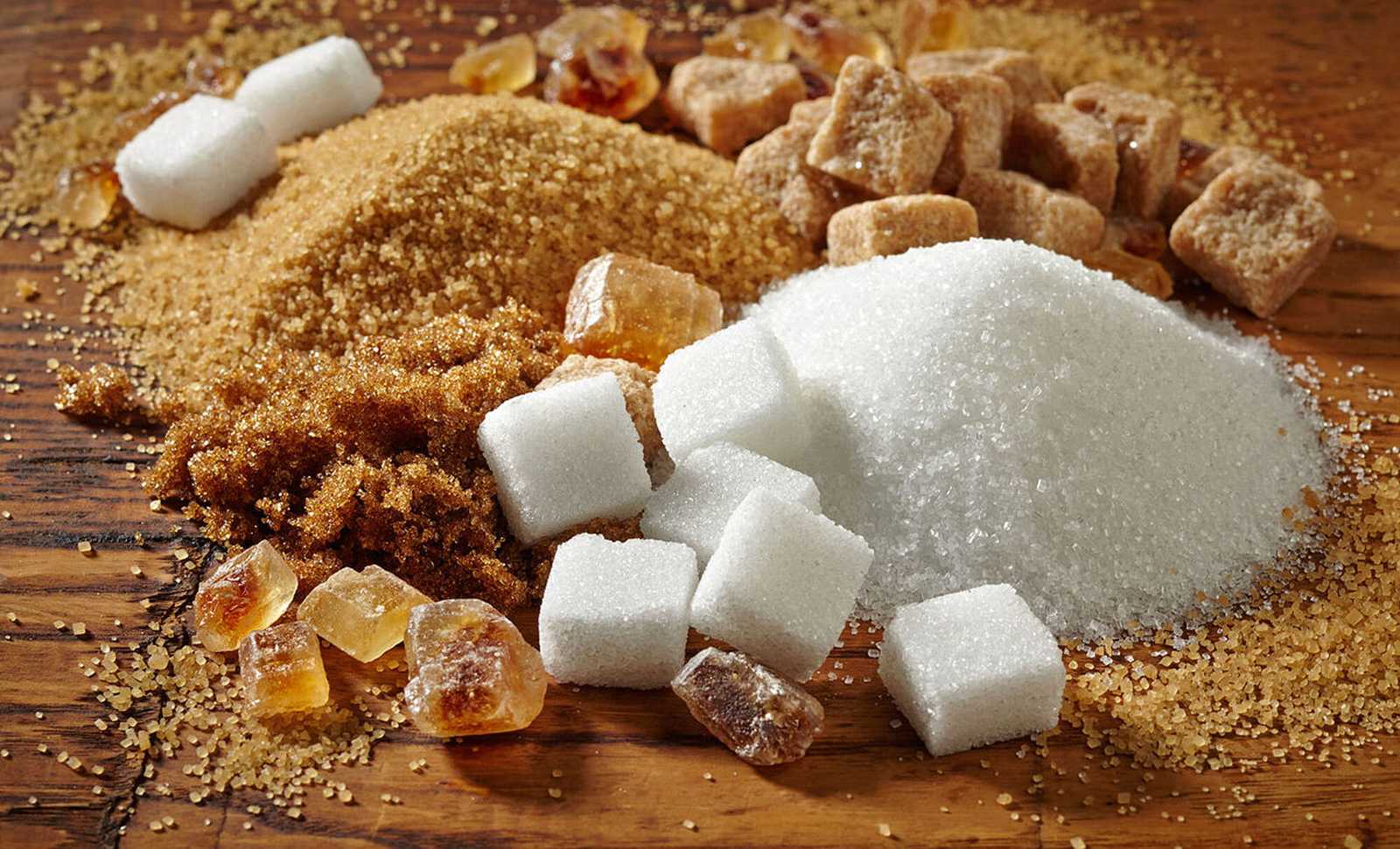 csm csm seepex lebensmittel sugar industry