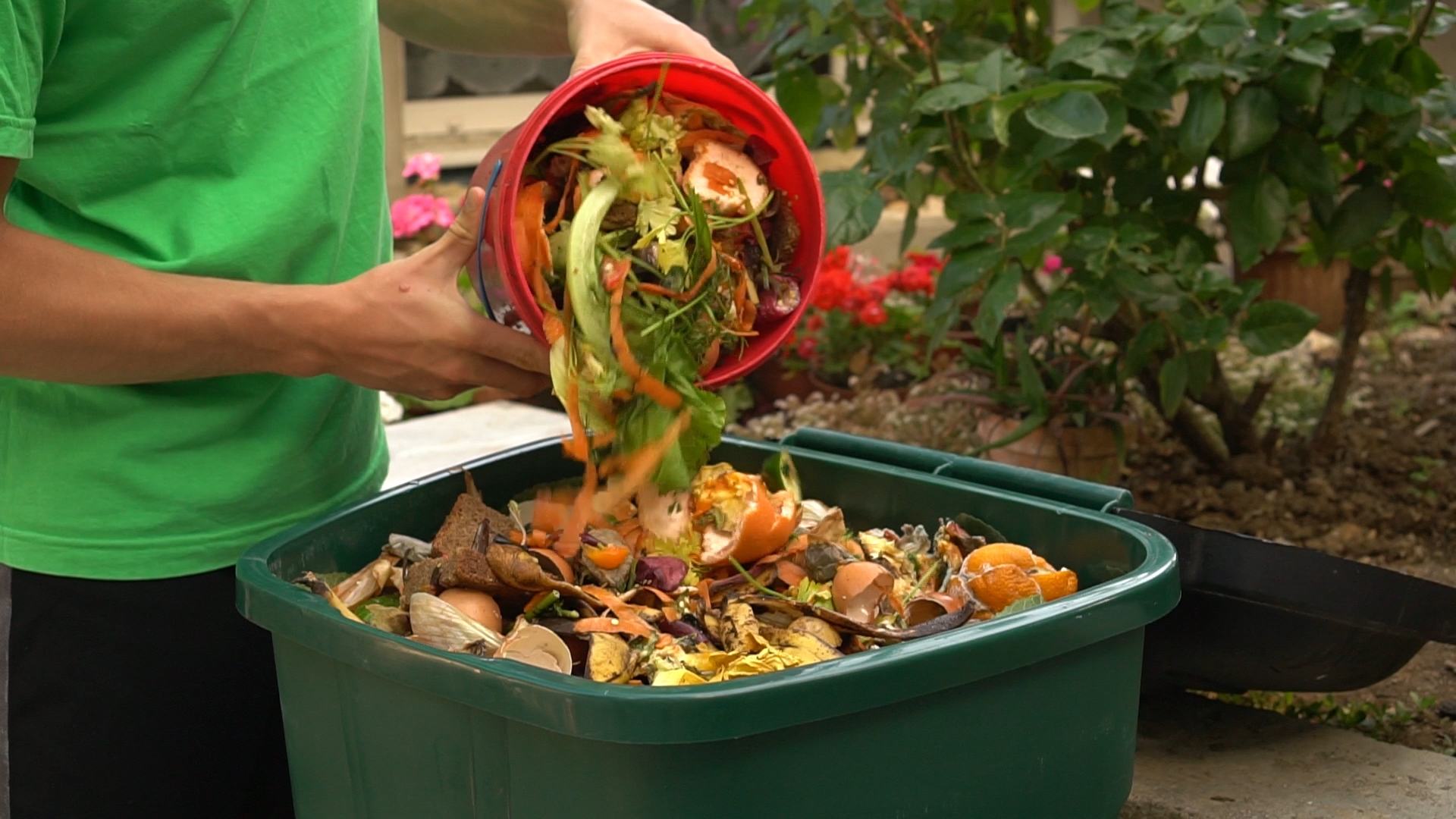 Food Waste Image