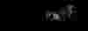 ds banner